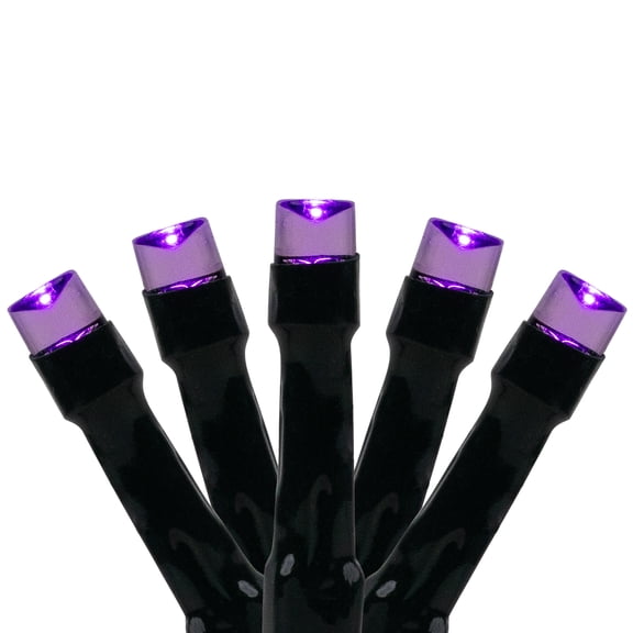 Northlight LED Wide Angle Halloween Lights - Purple - 10' Black Wire - 20ct