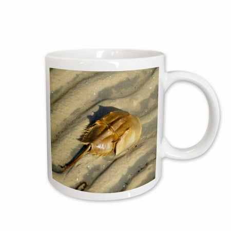 

Tan Horseshoe Crab On Beach 11oz Mug mug-35257-1