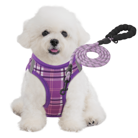 MoNiBloom No Pull Dog Harness with Leash, No Choke Reflective Pet Vest Adjustable Breathable Mesh Harnesses Dogs Walking, Purple XS