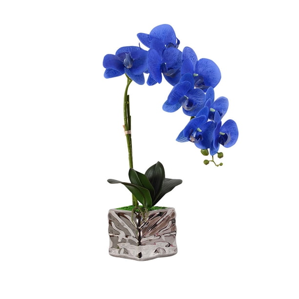 Yuarrent Orquídea de imitación Flor artificial Decoración de jardín Baño Plástico Maceta Toque Arreglo falso Calcomanía para el hogar Jarrón de Decoración del hogar Azul Yuarrent HA084030-01