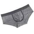 thumbnail image 1 of Men's Triangle Underwear Low Waist Lightweight Mesh Breathable Transparent Design Summer Comfort, 1 of 4