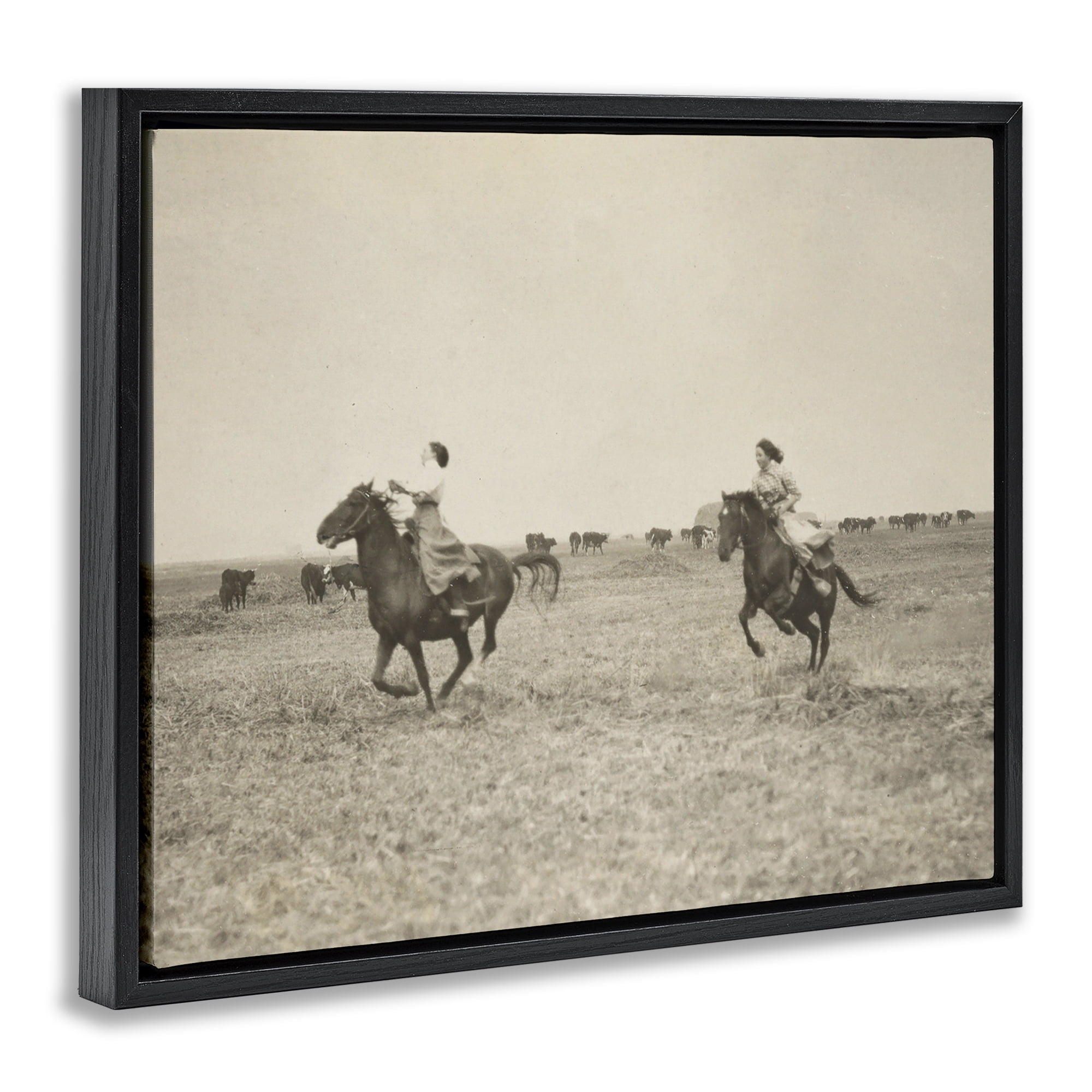 Stupell Industries Galloping Cowgirl Friends Animals Photography Black Floater Framed Canvas Art Print Wall Art, 21 x 17