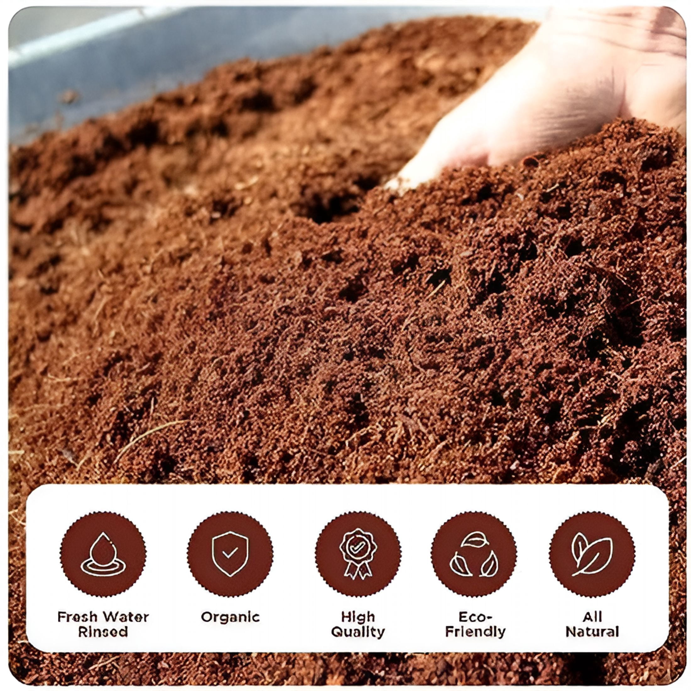 ZULAR 2026 New Coconut Coir Bricks | 5 Bricks / 650 Grams Each / 1.5 Pounds Each | Low Ec Triple-Washed | As Hydroponics Garden Soil | 100% Organic and Eco-Friendly | Seed Bed