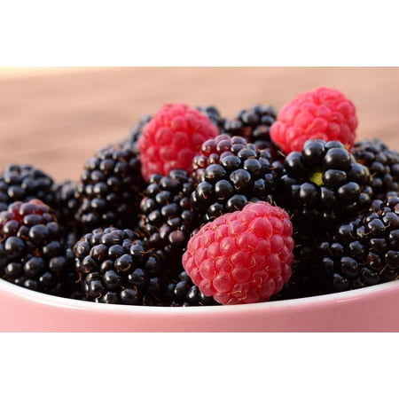 Black Raspberry Desserts - Laminated Poster Fruits Raspberries Dessert Blackberries Berries Poster Print 11 x 17