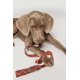 thumbnail image 4 of Correa De Perro Cuerda Correa Entrenamiento Ajustable Cuero, 4 of 4
