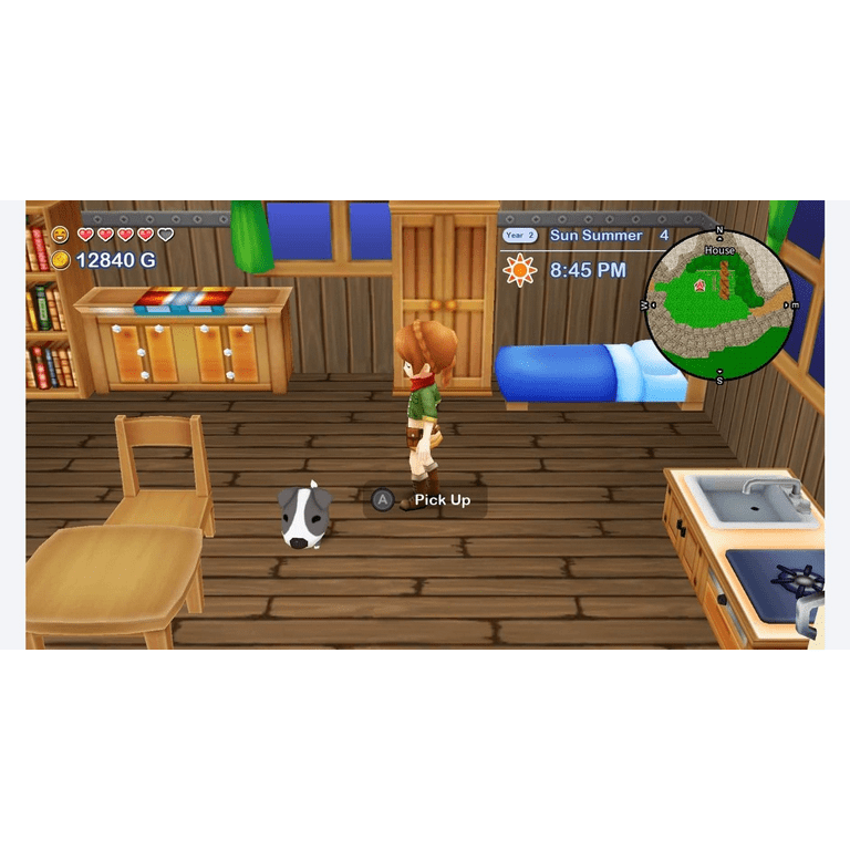 Harvest Moon: The Lost Valley & Skytree Village - Nintendo