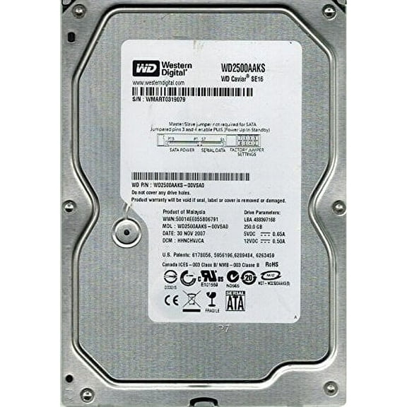 Western Digital WD2500AAKS-00VSA0 250GB DCM: HHNCHVJCA
