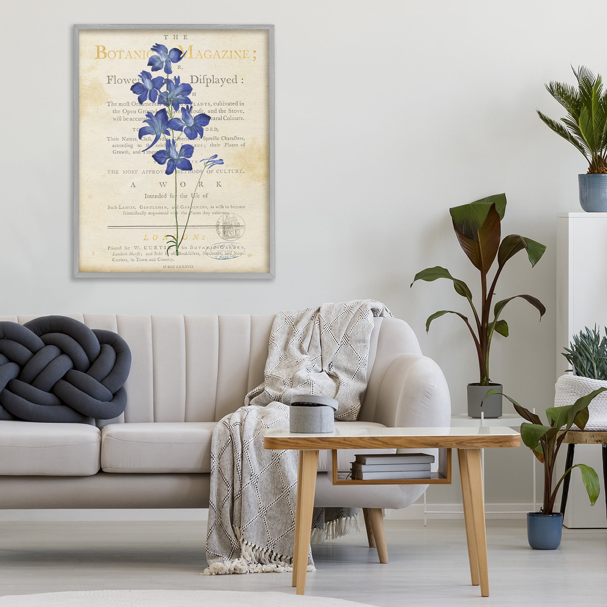 Stupell Industries Natural Botanic Garden Flower Gray Framed Giclee Art, design by Susan Arnot