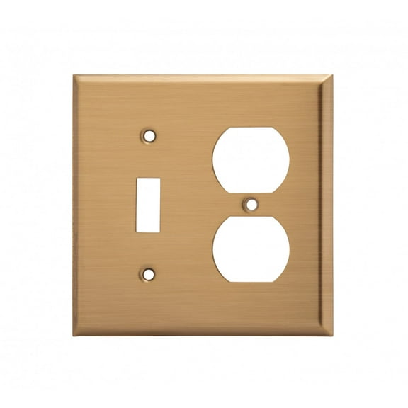 Switchplate Antique Stainless Steel Toggle/Outlet | Renovator's Supply