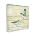 thumbnail image 3 of Stupell Industries Oceanside Sandpipers Summer Coast Graphic Art Gallery Wrapped Canvas Print Wall Art, Design by Paul Brent, 3 of 7
