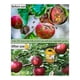 thumbnail image 3 of Paquete de 6 Trampas Solares de Avispas Colgantes Al Aire Libre, Avispas Colgantes con Luz para Chaquetas Amarillas, Avispones, Abejas, Trampas para Avispas, 3 of 5