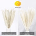 thumbnail image 2 of Plumas de hierba de pampa seca, 15 unidades de plantas secas naturales altas, tallos de flores artificiales de caña sintética para arreglos de boda, jarrón, puerta, corona, decoración, color blanco Sincero  Juguete, 2 of 6