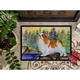 thumbnail image 3 of Carolines Treasures SS8204JMAT English Toy Spaniel Doormat - 24 x 36 in., 3 of 4