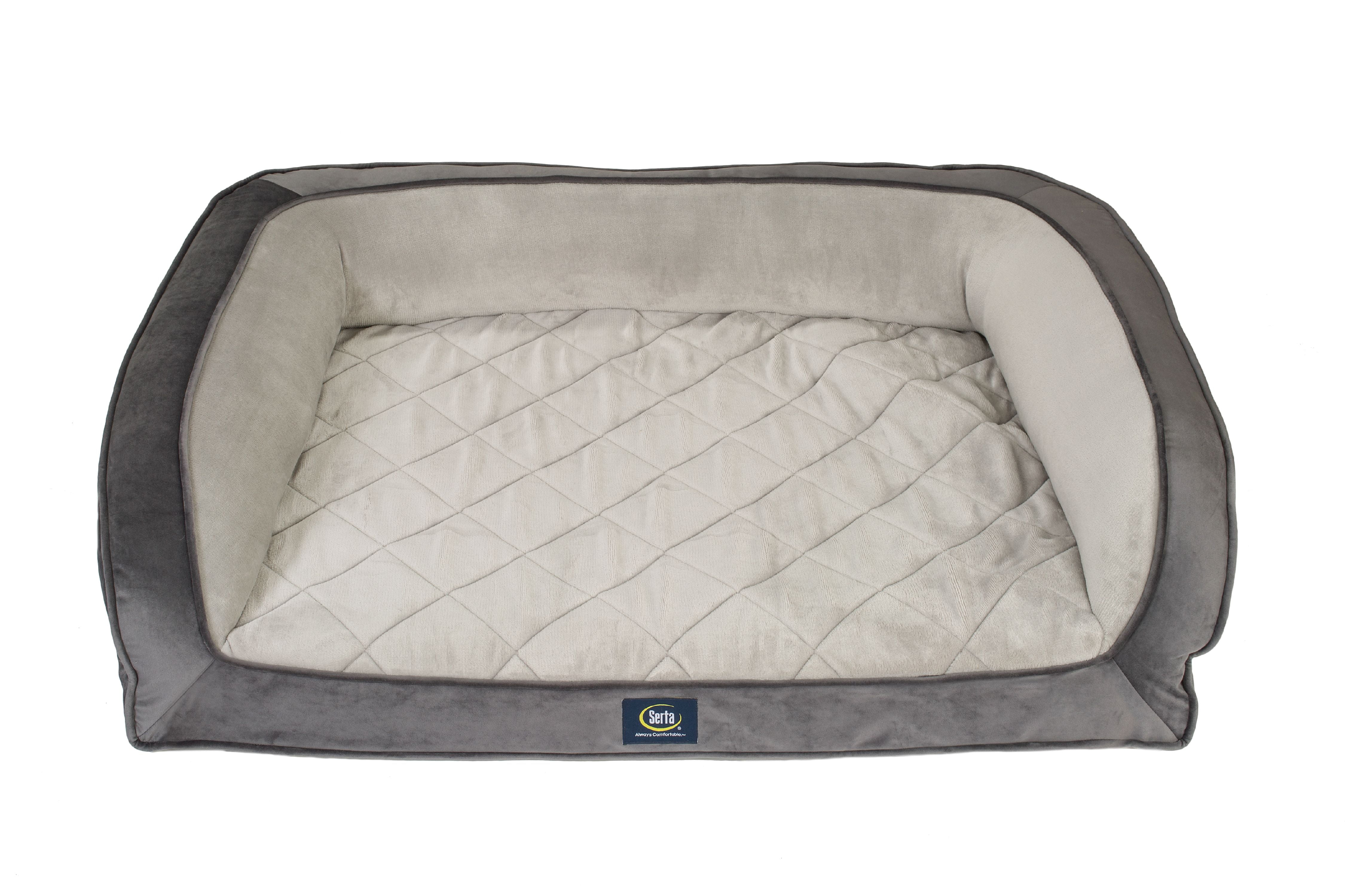 grey dog couch