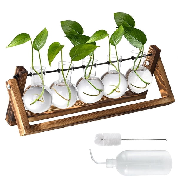 Terrario para Plantas con Soporte, Soporte para Terrario con 5 Macetas de Vidrio para Plantas de Interior, Soporte para Plantas de Casa, Decoración del Hogar y la Oficina