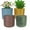 MultiColor, variant on GreenShip  4 Pack 8 in. Indoor Planter Pot with Drainage Hole