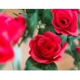 thumbnail image 3 of Flores artificiales de rosa enredadera de 16 pies (paquete de 2) para decoración, 3 of 8