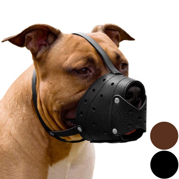25+ Designs Dog Muzzle Sewing Pattern