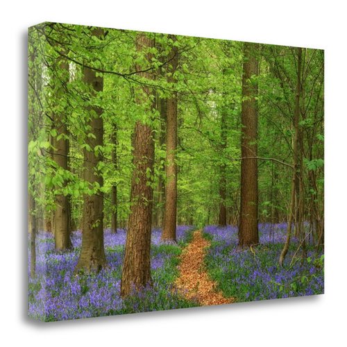 Tangletown Fine Art Haller Photographic Print On Canvas Walmart Com Walmart Com