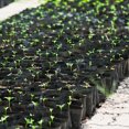 thumbnail image 3 of kurtrusly PE Cloth Potato Planting Bag Vegetable Growing Container Bags DIY Planting Garden Pot, 3 of 9
