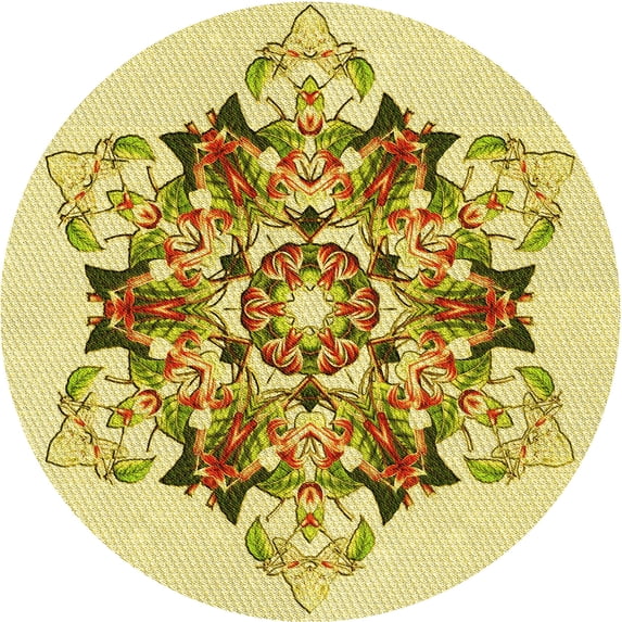 Ahgly Company Machine Washable Indoor Round Transitional Dark Golden Rod Brown Area Rugs, 3' Round