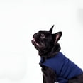 thumbnail image 6 of GASTROPOD Dog Anxiety Vest, Soft Breathable Dog Anxiety Relief Jacket Calming Coat Thunder Dog Wrap for Anxiety Stress Relief, 6 of 7