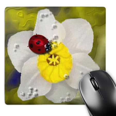 3dRose  Daffodils and Ladybugs  MousePad price history on PriceWatchPro