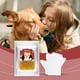 thumbnail image 2 of pet gloves, cleaning wipes, soft and convenient to use, odor free, cat and dog hair, skin hygiene care, 2 of 5