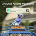 thumbnail image 2 of Bird Feeder with Camera Solar Powered Smart Camera 2K WiFi, 2 of 7