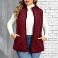 thumbnail image 3 of DISKEBUISS Plus Size Quilted Puffer Vest for Women Stand Collar Sleeveless Zip Up Gilet with Pockets for Fall Winter, 3 of 7