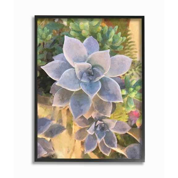 The Stupell Home Decor Collection Succulent Plant Desert Party Painting Framed Giclee Texturized Art, 11 x 1.5 x 14