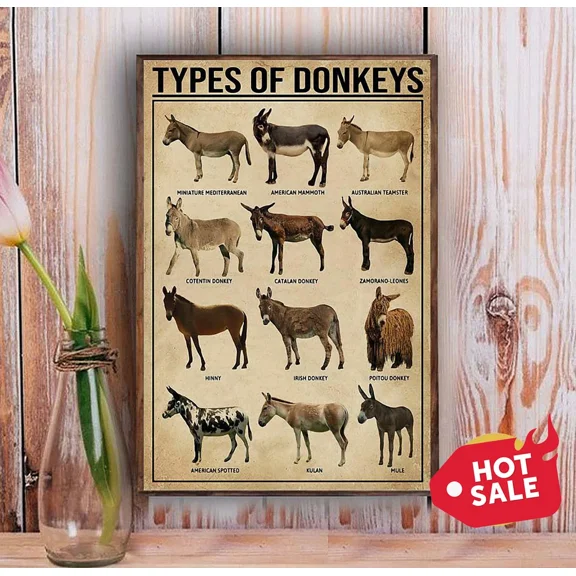 Poster Types Of Donkeys Wall Art, Unframed Prints For Home Or Office, Perfect Gift For Everyone, 8x12