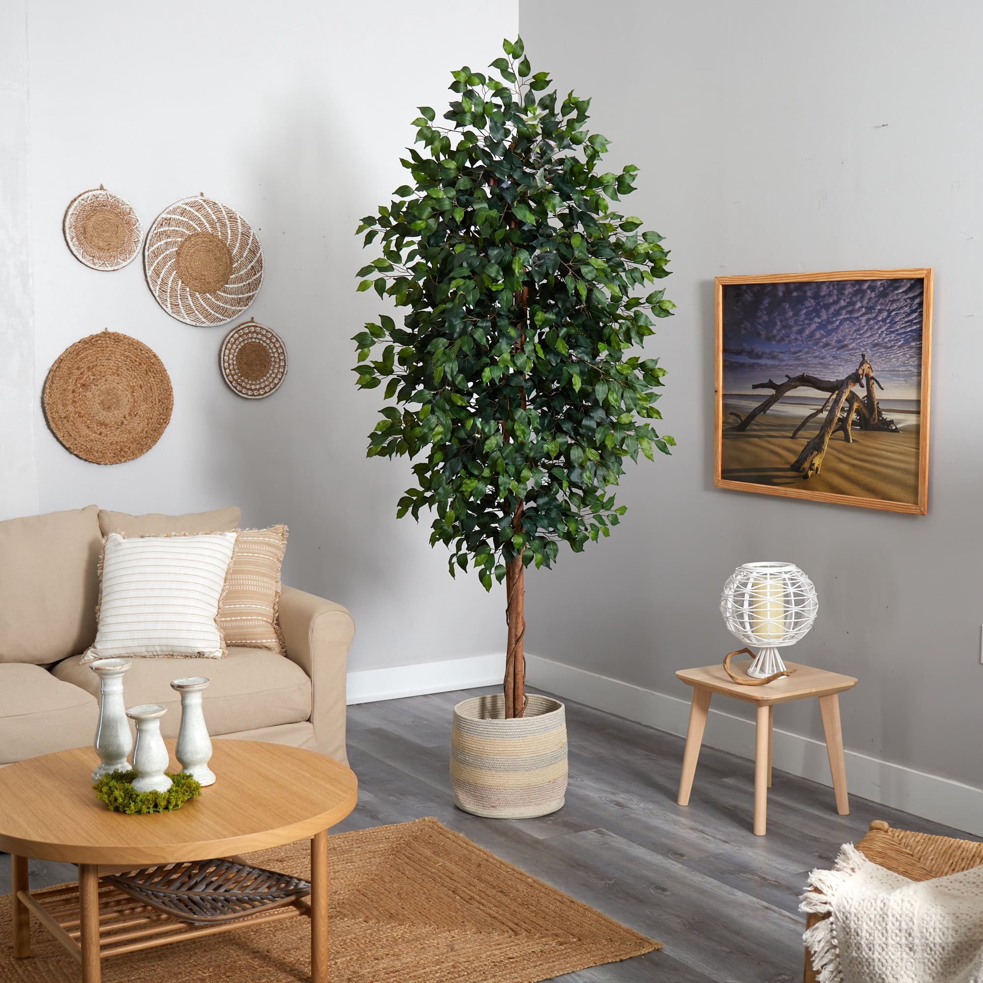 8' Artificial Ficus Artificial Trees in Wood Cotton Planter , by Nearly Natural