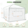 thumbnail image 2 of EAGLE PEAK 10'x 10' Portable Walk-in Greenhouse Instant Pop-up Easy Setup Indoor Outdoor Plant Gardening Green House Canopy, Front and Rear Roll-Up Zipper Entry Doors and 2 Large Roll-Up Side Windows, 2 of 8