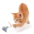 thumbnail image 3 of 5PCS Chew Toy Floral Pattern Bell Hanging Cat Bite Toy Pet Chew Toy Catnip Toy, 3 of 10