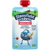 Stonyfield® Organic Blueberry Apple Carrot Whole Milk Yogurt 3.5 oz. Pouch