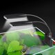 thumbnail image 5 of X7 Gemini LED Aquarium Light Dual Heads 220V 15W 1600LM X7 For 8-15 Inch Fish Tank, 5 of 5