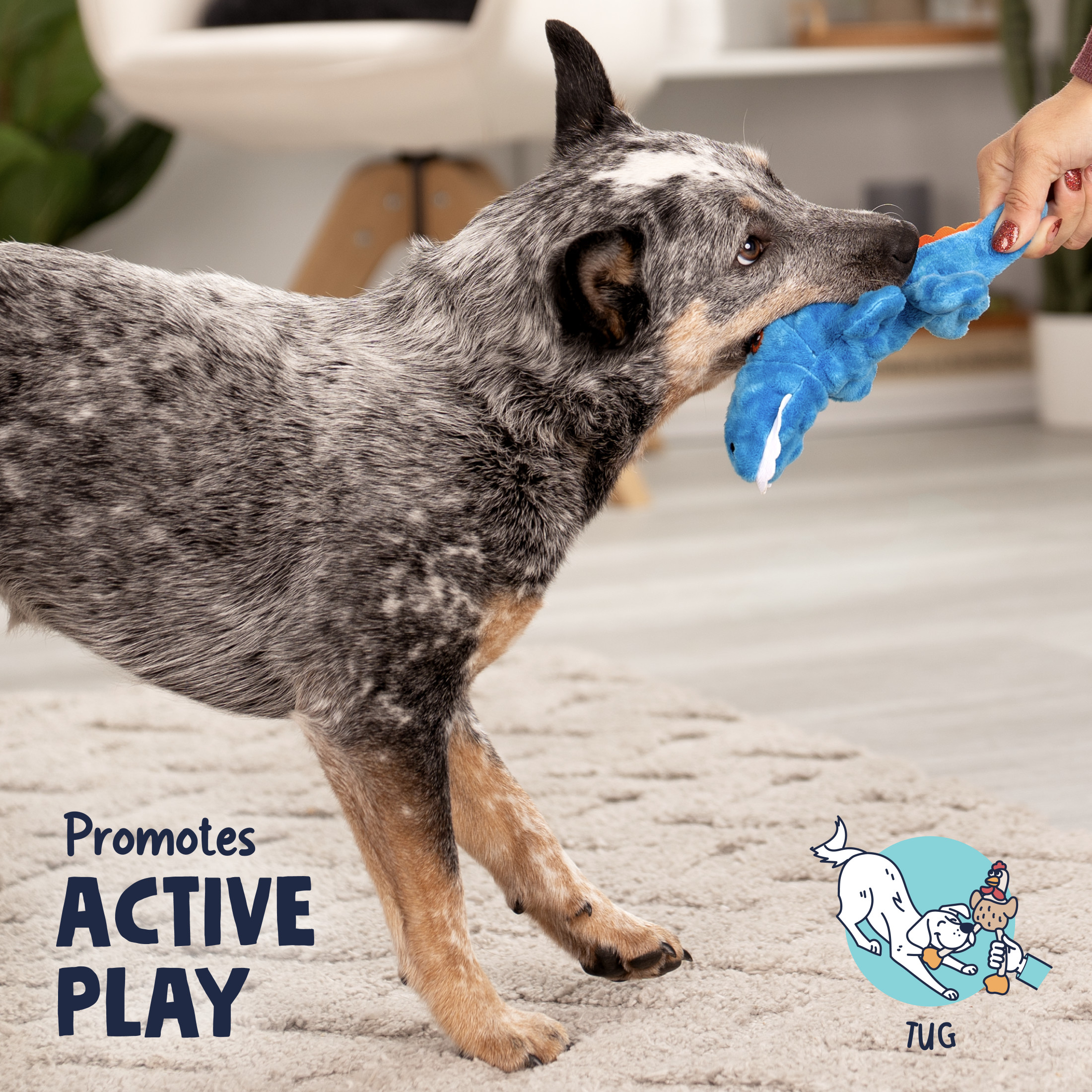 goDog Just For Me Gators Squeaky Plush Toy, Mini, Blue photo 6