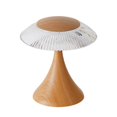 thumbnail image 1 of Lámpara de noche Yuyangstore moderna con puerto USB Madera 3 colores Yuyangstore Lámpara de noche, 1 of 8