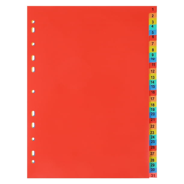1 juego de separadores de carpeta A4 para cuadernos y carpetas escolares o de oficina.