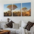 thumbnail image 2 of Nawypu Large Framed Wall Art Ready to Hang Quiver Trees Namibia Africa Canvas Print Artwork Wall Art Painting Pictures Home Office Wall Décor Modern Poster 12''x16''X3 Panels, 2 of 4
