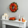 thumbnail image 4 of Nearly Natural Plastic Wreath, 20" (Assorted Colors), 4 of 4