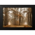 thumbnail image 2 of Podt, Martin 24x17 Black Modern Framed Museum Art Print Titled - Split, 2 of 5