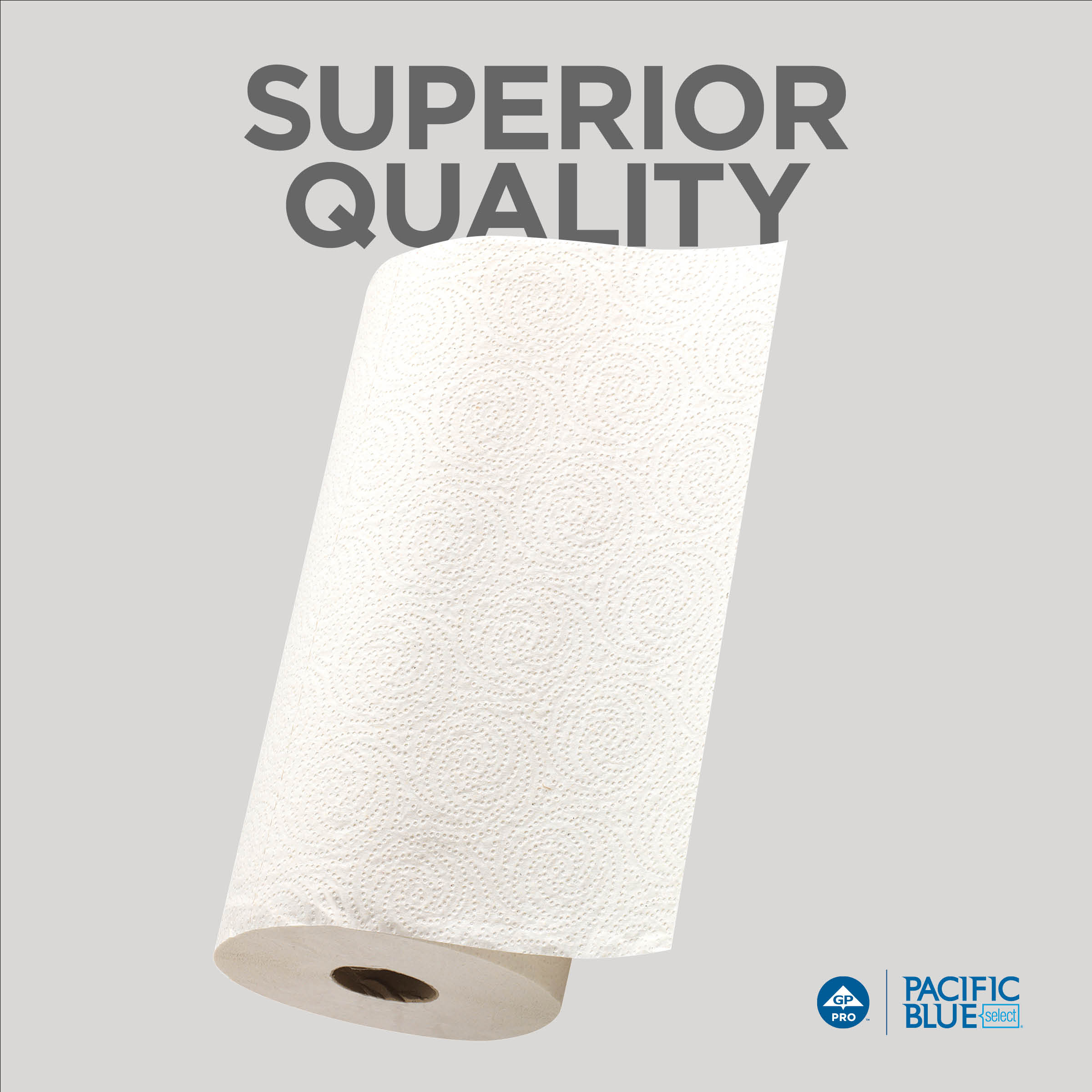 Pacific Blue Select® 2-Ply Perforated Roll Paper Towel by GP PRO (Georgia-Pacific), White, 27700, 250 Sheets Per Roll, 12 Rolls Per Case