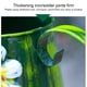 thumbnail image 3 of Toystoory Stainless Steel Large-Mouthed Metal And Iron Watering Watering Cans Garden Hassle-Free Indoor Nozzle Rust-Free Jardín y Patio rosario 2L, 3 of 6