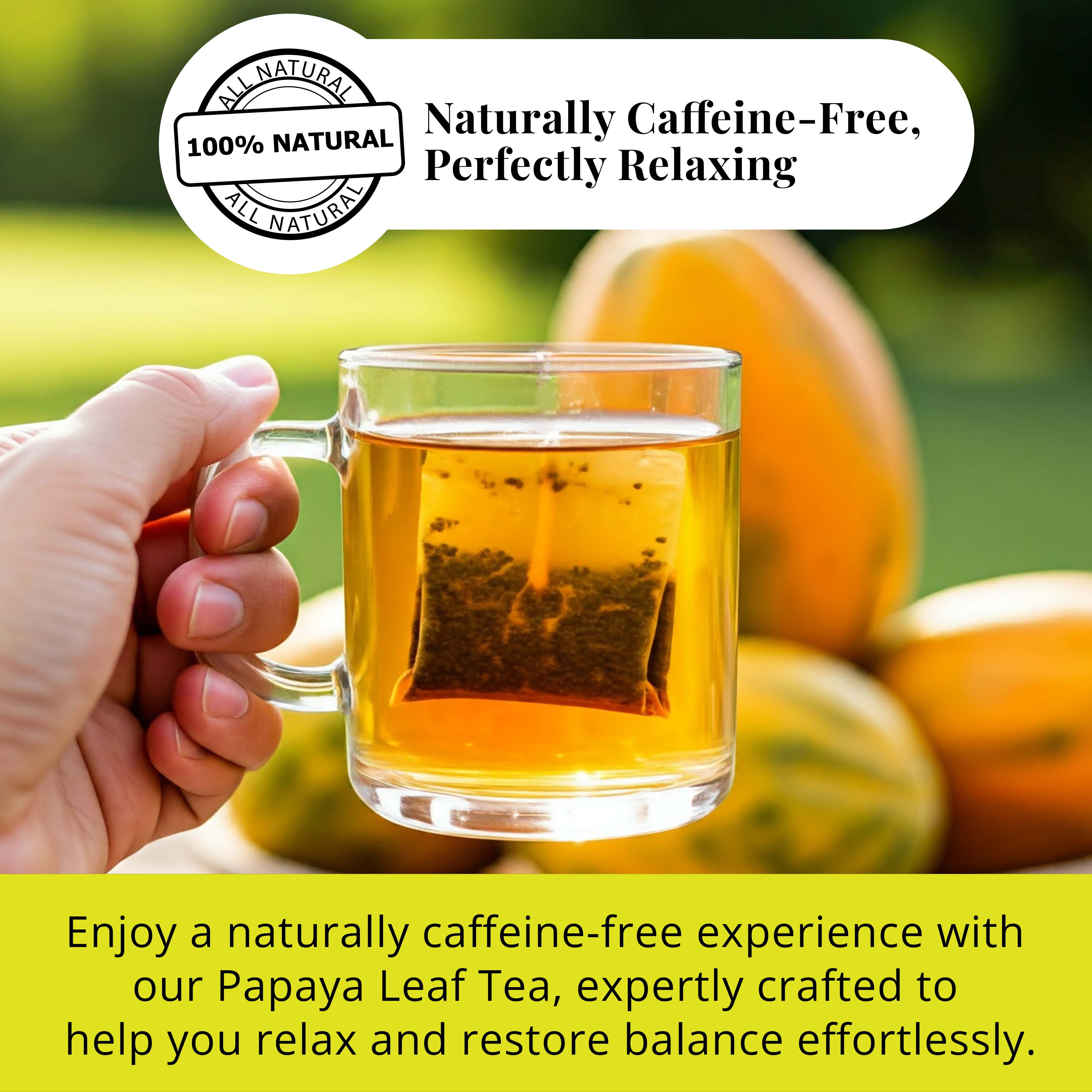 Akshit Papaya  Leaf Tea Bags,  150 Count,  100% Natural Papaya Leaves,  Caffeine-Free, Aromatic Herbal Tea, Non GMO.