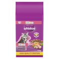 thumbnail image 1 of Dry Kitten Food With Chicken For Cats 1-12 Months, 1 of 1