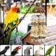 thumbnail image 1 of Juguete para Pájaros Masticar Ganfancp para Jaula de Loros Bloques de Madera Perlas de Lufa, 1 of 7
