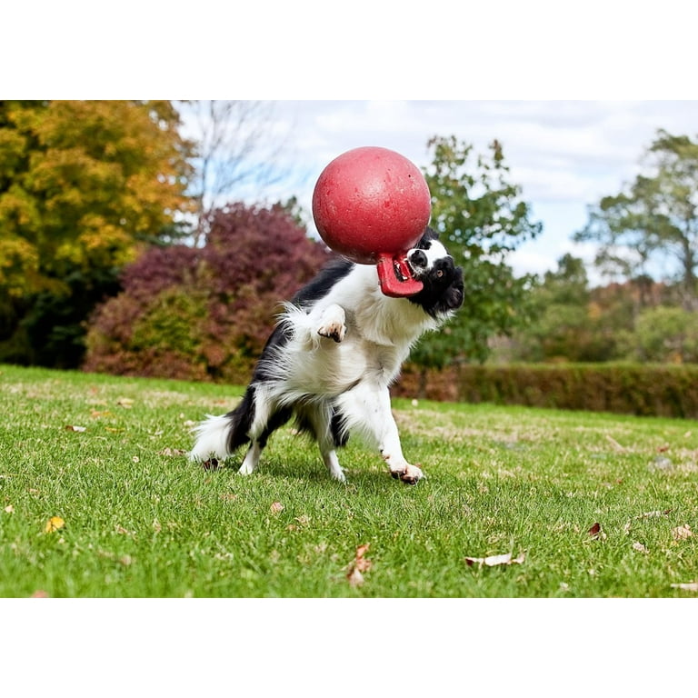 Jolly Pets Tugntoss Duty Toy Ball With Handle, 45 Inchessmall, Red Walmart.com