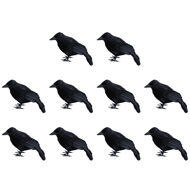 Terror Animal Pájaro Plástico Y Plumas Halloween para El Fiesta Halloween